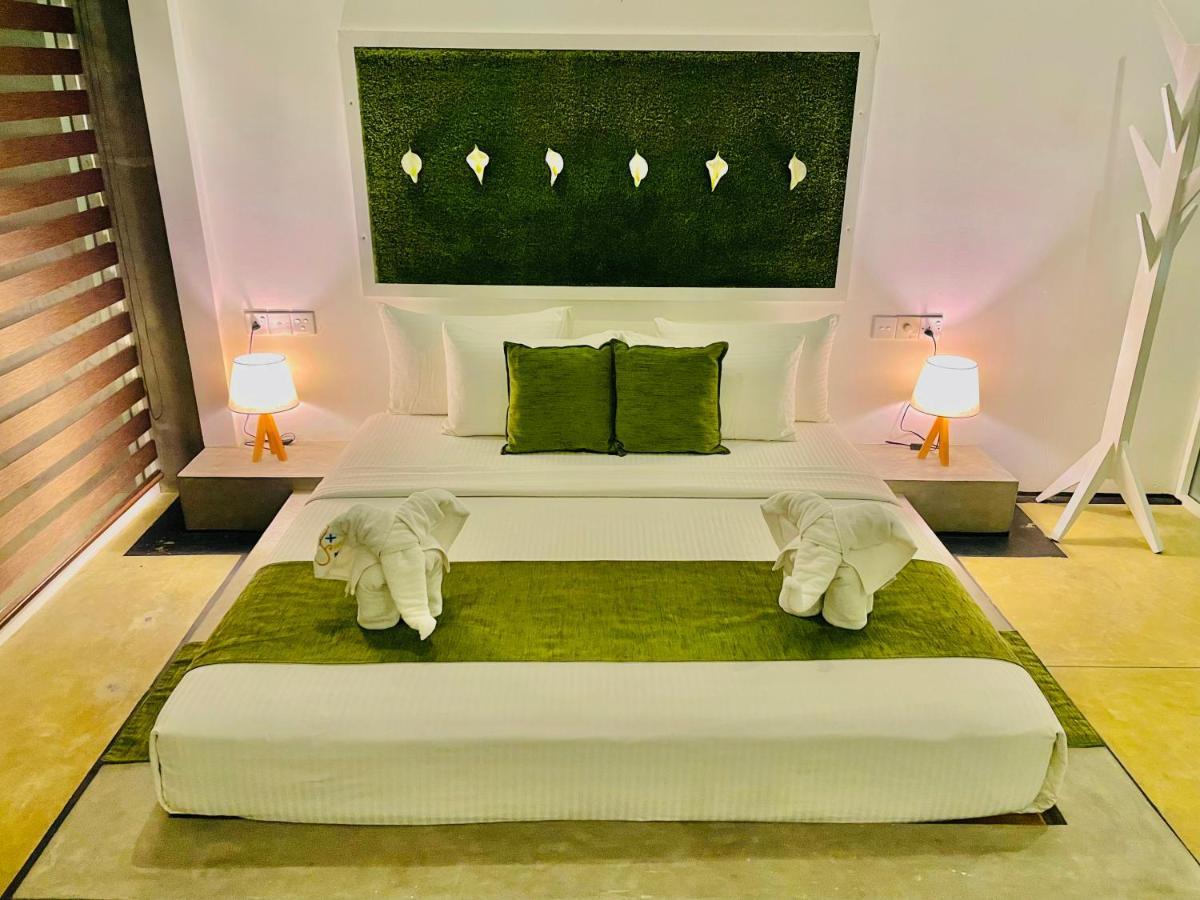 8 Plus Motels Negombo Dış mekan fotoğraf